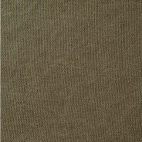 CANVAS S FOREST | B