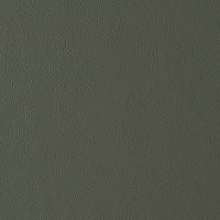 SHERWOOD MENTA